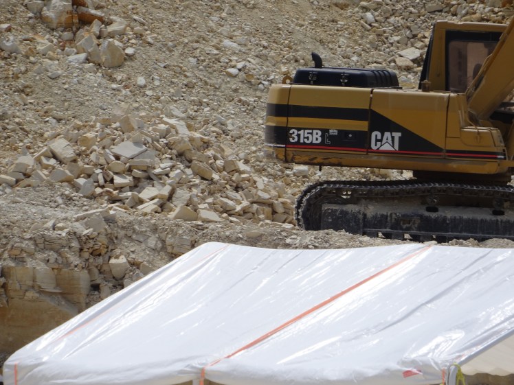 cat digging out rock