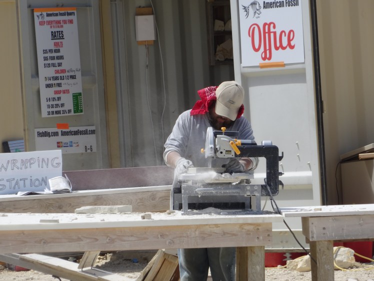 trimming specimens (2)